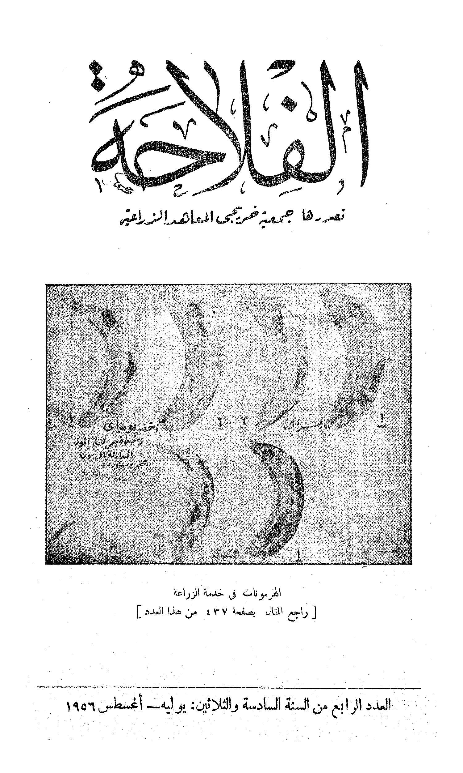 مجلة الفلاحة