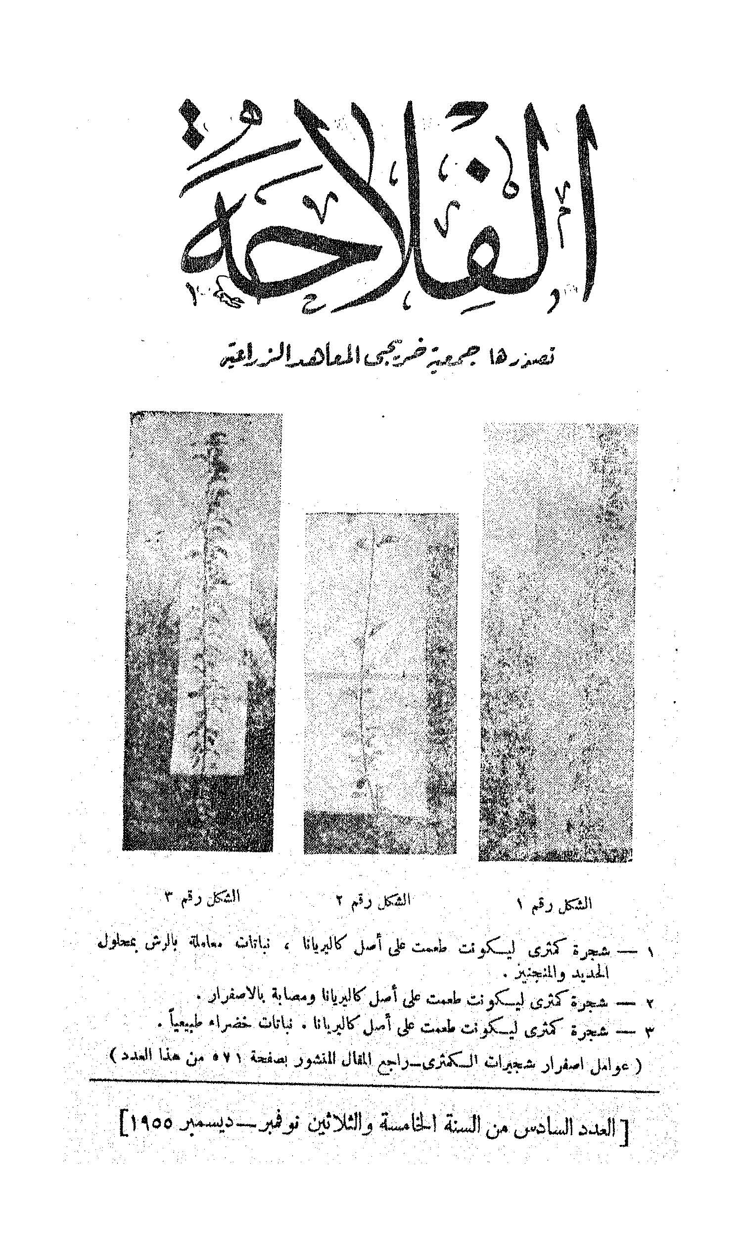 مجلة الفلاحة